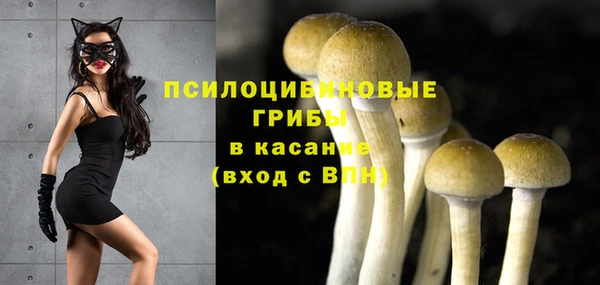 стаф Алексин