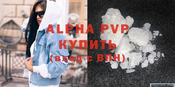 стаф Алексин