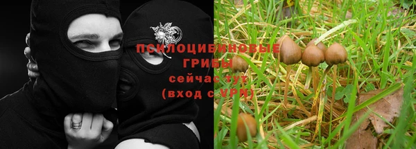 стаф Алексин