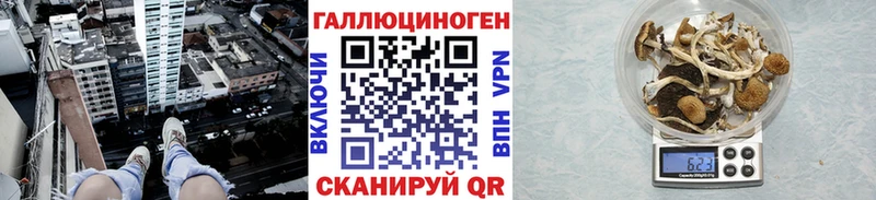 Галлюциногенные грибы Cubensis Яхрома